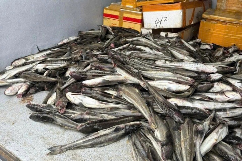 Mưa lũ dị thường "nhấn chìm" cơ ngơi tiền tỷ trên sông